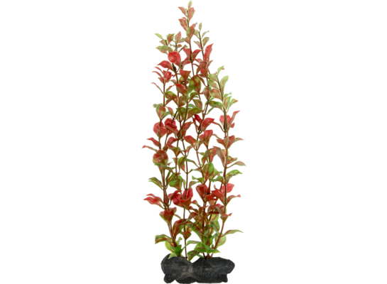 Ozdoba akwariowa DecoArt Plant S Red Ludwigia TETRA
