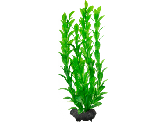 Ozdoba akwariowa DecoArt Plant M Hygrophila TETRA