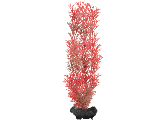 Ozdoba akwariowa DecoArt Plant M Foxtail Red TETRA