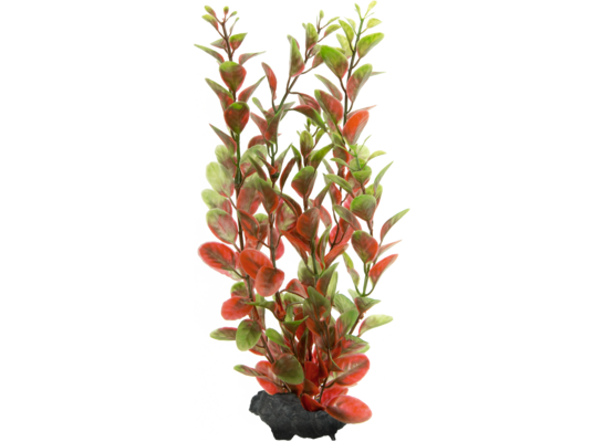 Ozdoba akwariowa DecoArt Plant M Red Ludwigia TETRA