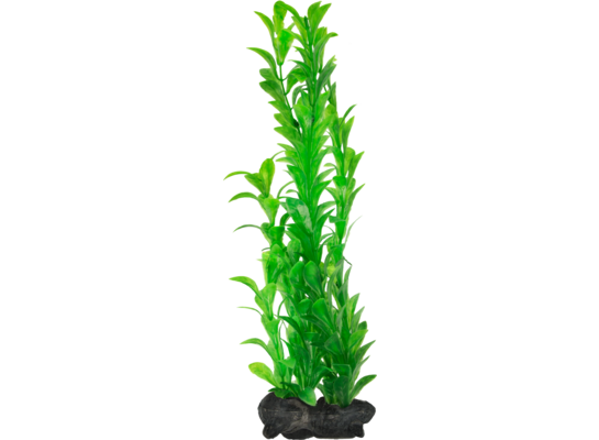 Ozdoba akwariowa DecoArt Plant L Hygrophila TETRA