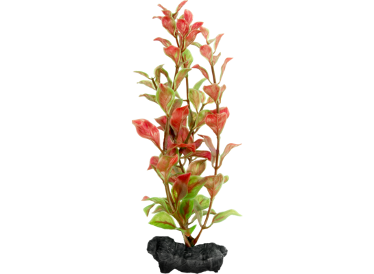 Ozdoba akwariowa DecoArt Plant L Red Ludwigia TETRA