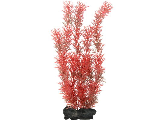 Ozdoba akwariowa DecoArt Plant L Foxtail Red TETRA