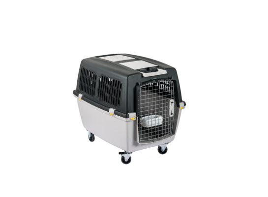 Transporter GULLIVER 5 IATA (422157) ZOLUX