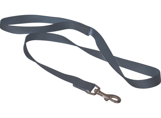 Smycz nylon XL 40 mm beżowy ZOLUX