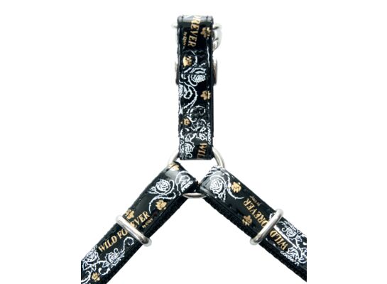 Szelki ENVY FOREVER regulowane 15 mm czarny ZOLUX