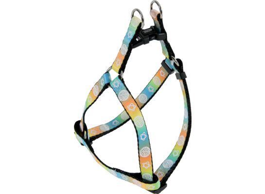 Szelki regulowane NOVA 25 mm pomarańczowy ZOLUX