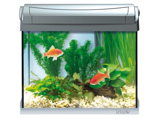 Akwarium AquaArt Discover Line Aquarium Complete Set 20 l anthracite zestaw akwariowy srebrny
