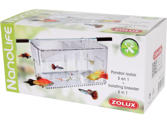 Kotnik na 5 sposobów