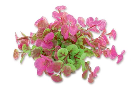 Roślina akwariowa sztuczna 1F11 10 cm happet