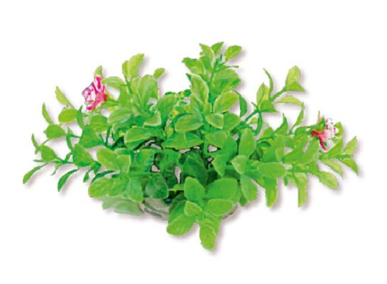 Roślina akwariowa sztuczna 1F13 10 cm happet