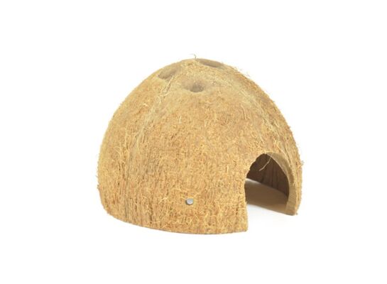 Skorupa kokosa połówka nieszczotkowana happet