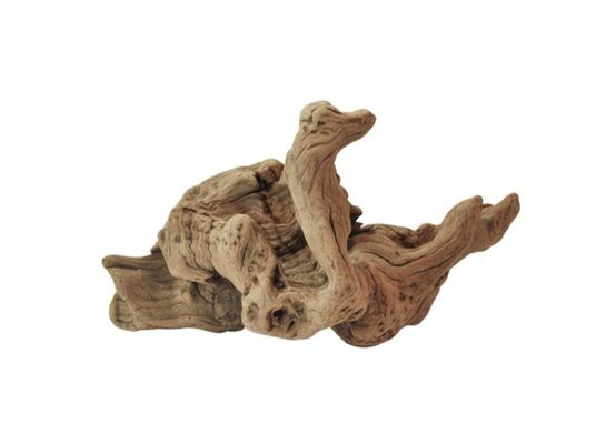 Korzeń Opuva rozmiar S happet