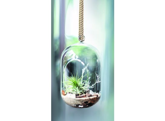 Ogródek w szkle 005