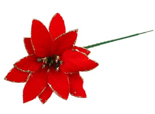 Poinsecja na piku czerwony welur 18 cm