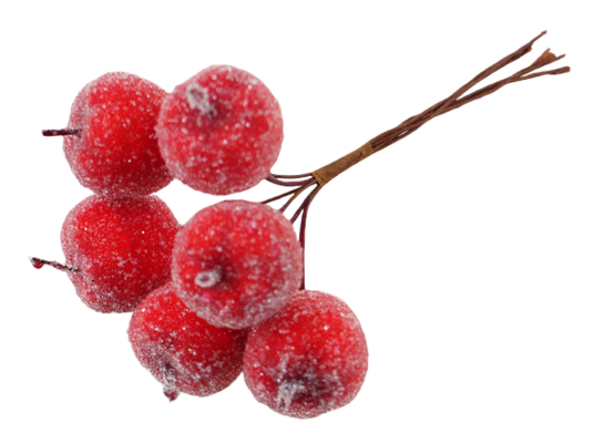 Gałązka z oszronionymi jabłkami 9 cm