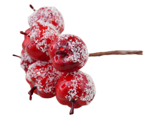 Jabłka na druciku 11 cm