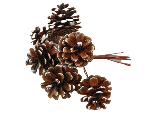 Szyszki na druciku 14 cm