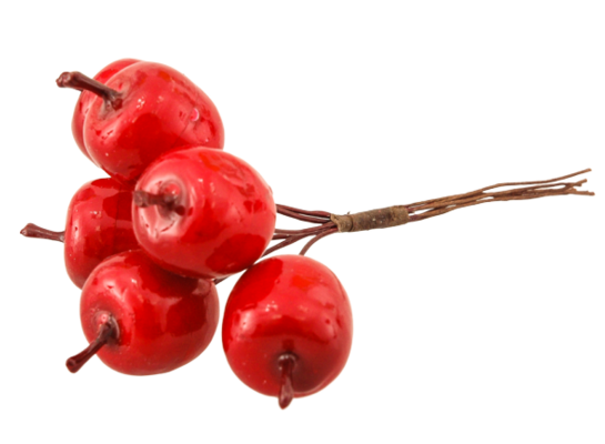 Gałązka z jabłkami 12 cm