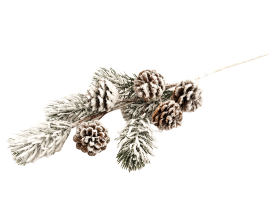 Gałązka ozdobna z szyszkami 62 cm ośnieżona
