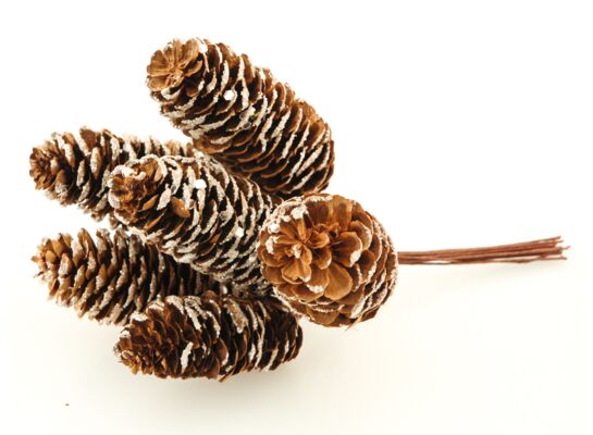 Szyszki na druciku 17 cm