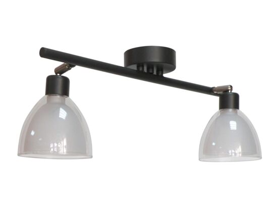 Oprawa oświetleniowa 2-TYMON grafit 0,89 kg 50 x 19 cm PROGRES