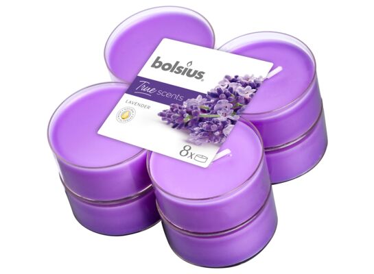Podgrzewacze zapachowe Maxi 8 h lawenda TS 8 sztuk Bolsius