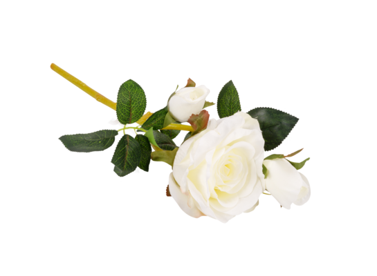 Róża mix kolorów 35 cm