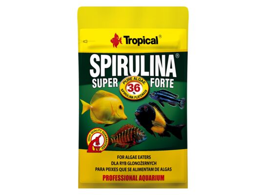 Pokarm dla ryb Super Spirulina Forte 36% płatek 12 g Tropical
