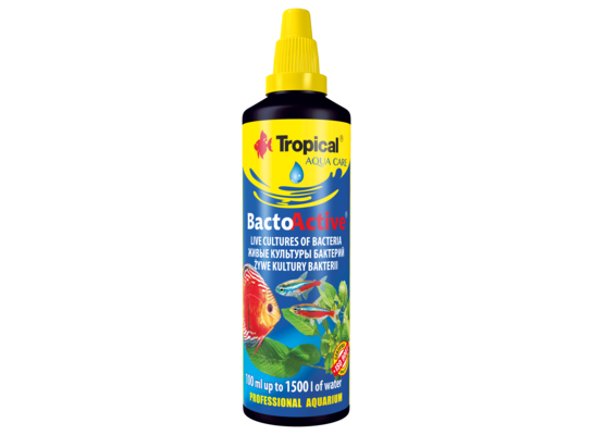 Żywe kultury bakterii Bacto Active 100 ml Tropical