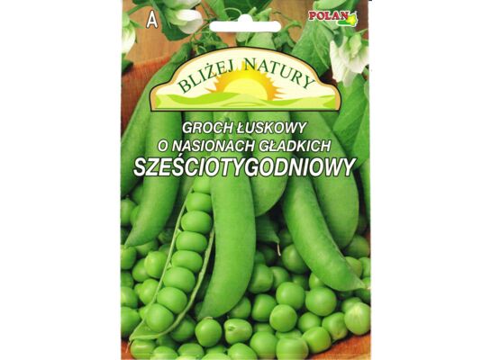 Groch łuskowy Sześciotygodniowy 20 g POLAN