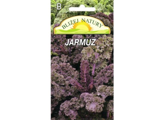 Jarmuż czerwony Scarlet 0,5 g POLAN