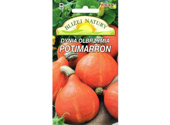 Dynia olbrzymia Potimarron 2 g POLAN