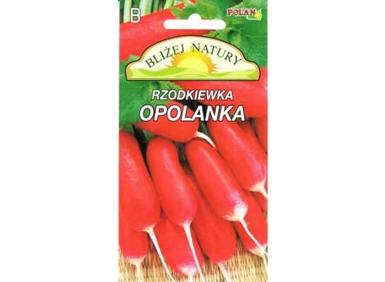 Rzodkiewka podłużna czerwona Opolanka 5 g POLAN