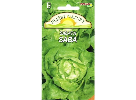 Sałata masłowa zimująca Saba 0,5 g POLAN