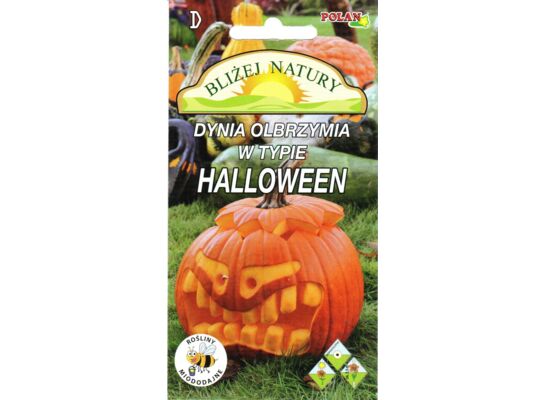 Dynia olbrzymia ozdobna w typie Halloween 2 g POLAN