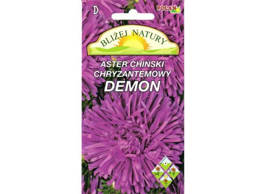 Aster chryzantemowy Demon fioletowy 0,8 g POLAN