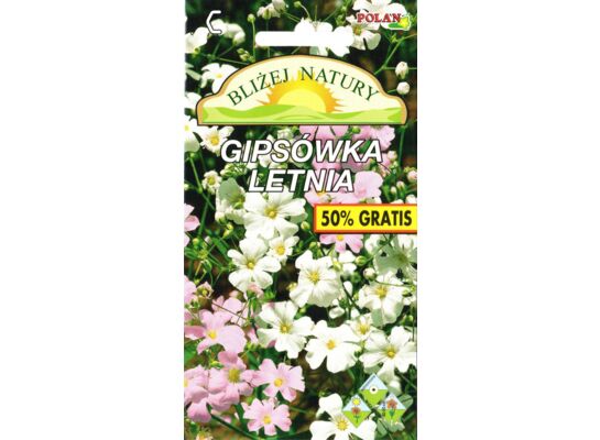 Gipsówka letnia 1,5 g