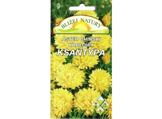 Aster karłowy Ksantypa żółty 0,8 g POLAN