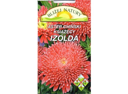 Aster książęcy Izolda 0,8 g różowo-purpurowy POLAN