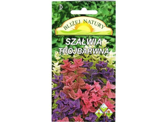 Szałwia trójbarwna 0,3 g POLAN