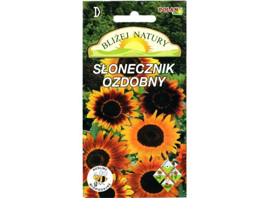 Słonecznik ozdobny odcienie czerwone 3 g POLAN