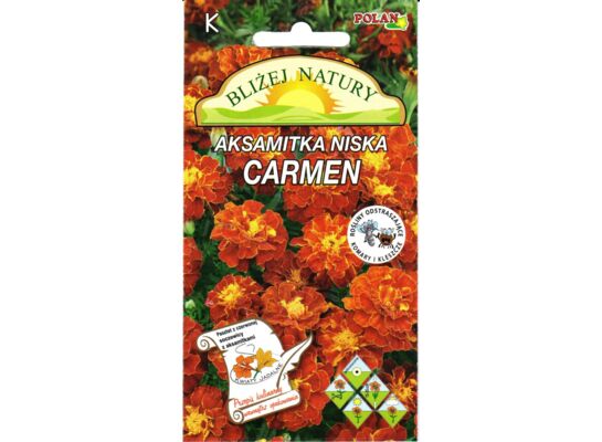 Aksamitka niska karminowo-miodowa Carmen 0,5 g POLAN