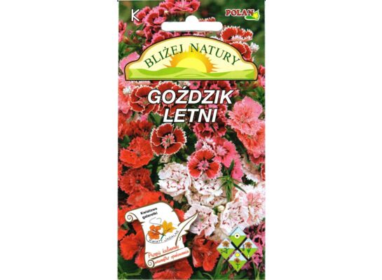 Goździk letni pełny mieszanka 0,5 g POLAN