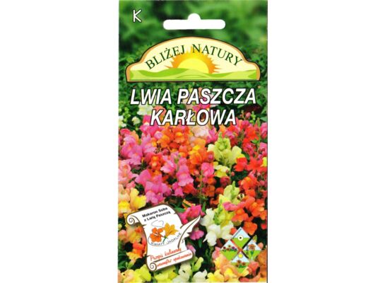 Lwia paszcza karłowa mieszanka 0,5 g POLAN