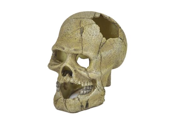 Ozdoba akwariowa U715 czaszka happet