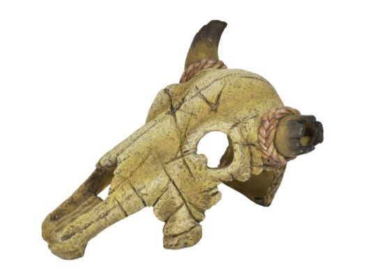 Ozdoba akwariowa U713 czaszka byka 19,5 cm happet