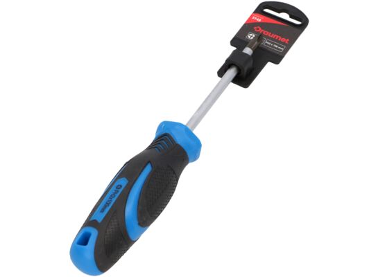 Wkrętak krzyżowy PH2 x 100 mm DRAUMET