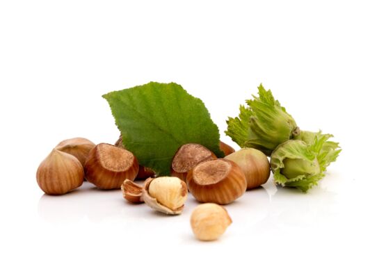 Balot Eko Owocowa Elita (leszczyna) wys. 30-40 cm