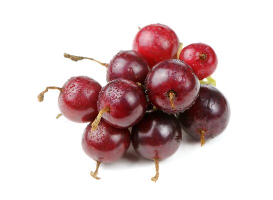 Balot Eko Owocowa Elita (porzeczkoagrest) wys. 30-40 cm